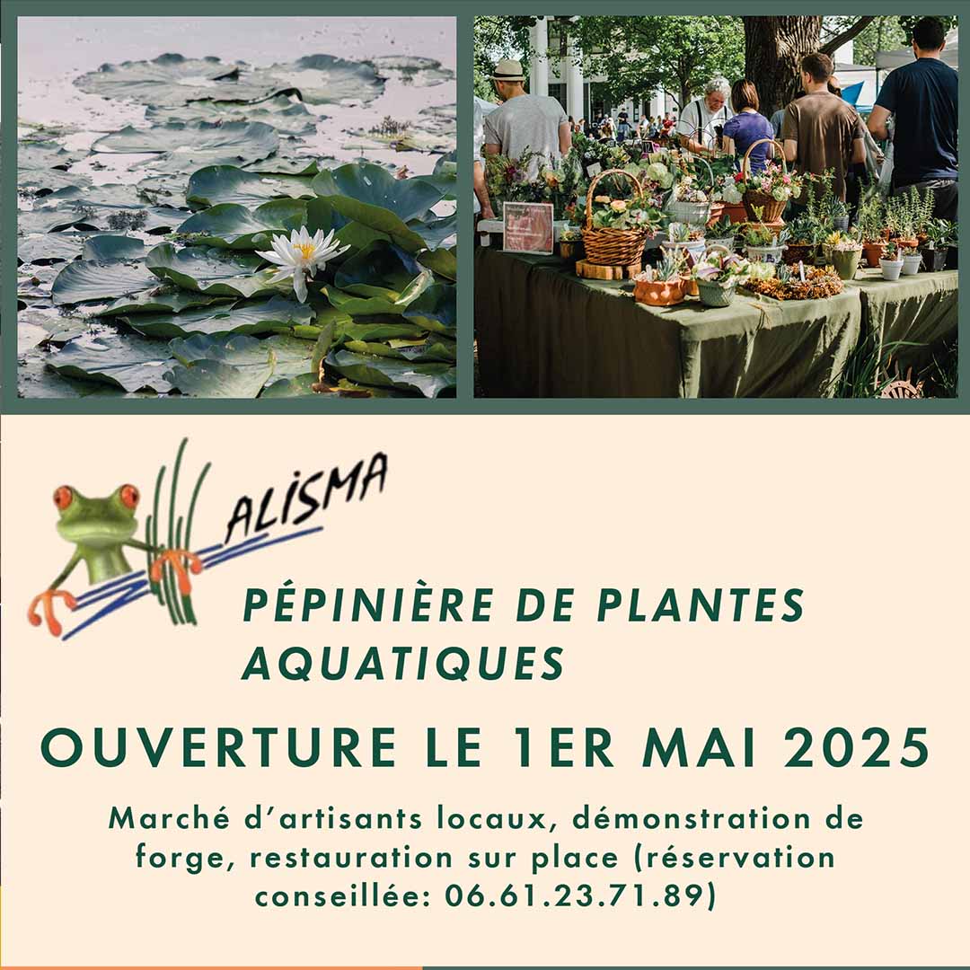 Affiche publicitaire pour marché aquatique