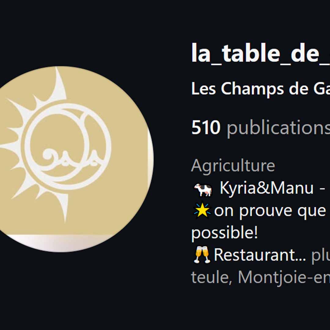 Accompagnement stratégique pour La Table de Gaya – résultats